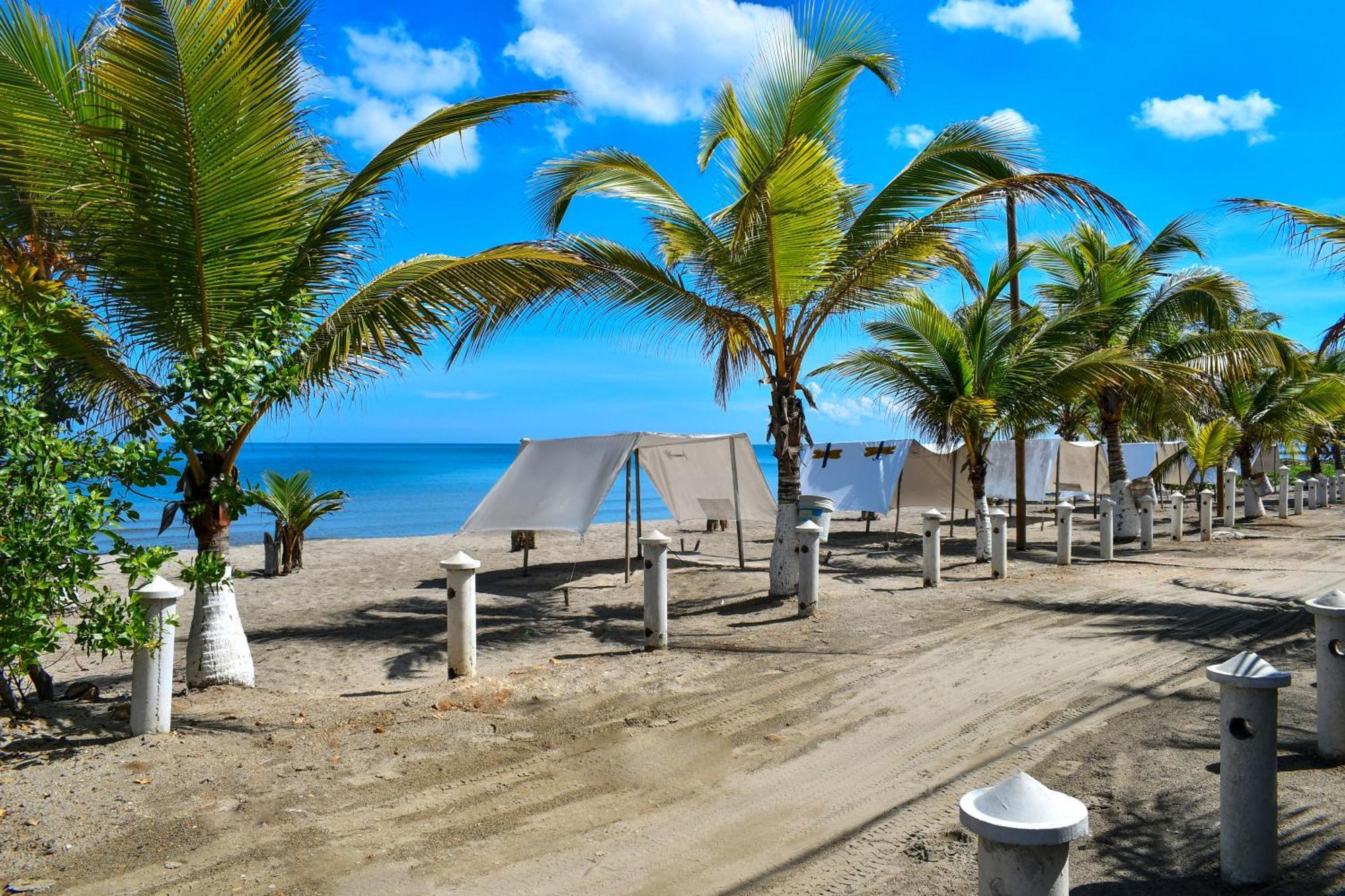 Hotel Isla Magica Coveñas エクステリア 写真